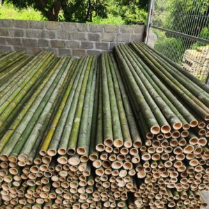 Sạp Tre, Sạp Tre Xây Dựng.