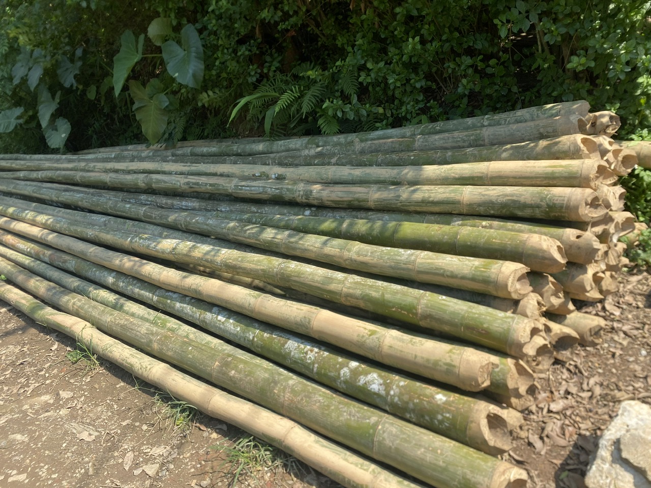 z7132560161285_bc086817853612099e8744f81d314160